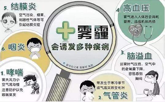 17-7纳博科.jpg