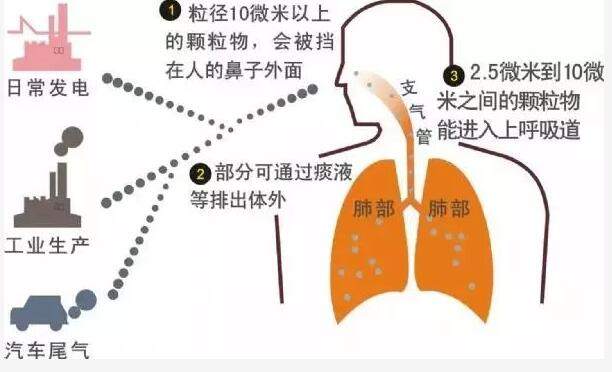 17-4纳博科.jpg