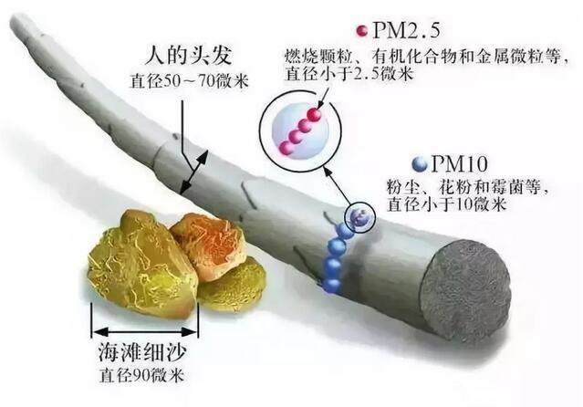 17-1纳博科.jpg