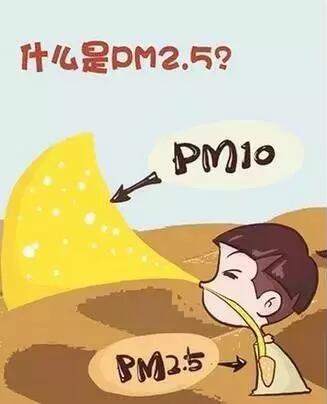 17-2纳博科.jpg